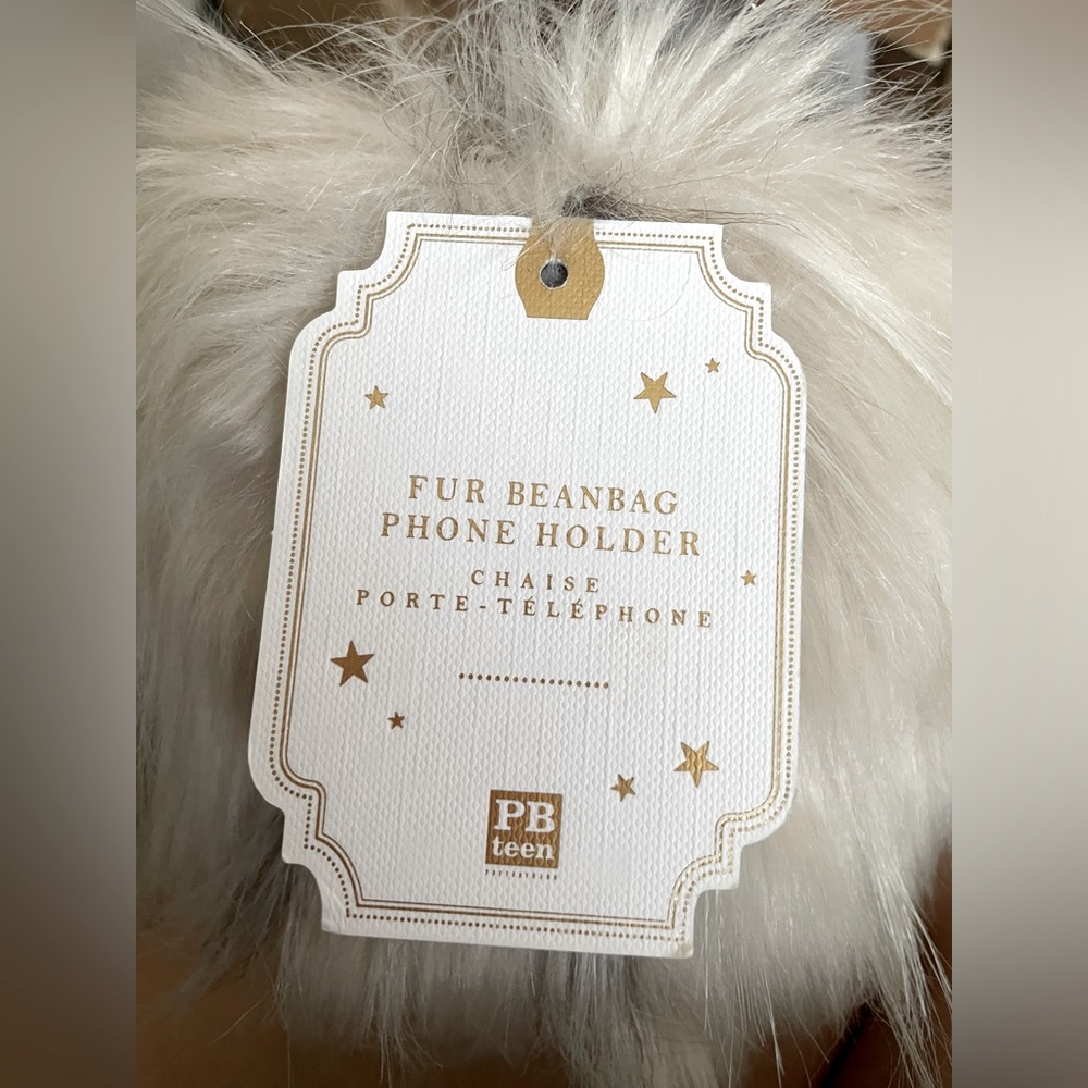 Pottery Barn Teen faux fur beanbag phone holder!